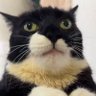 Profilbild von mert