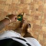 Lya 🍀🇬🇭 profil fotoğrafı