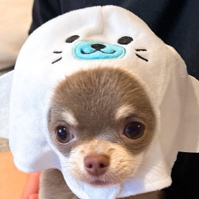 eeeoeeos's profile picture