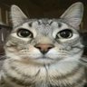 Profilbild von UNKNOWN ATOM