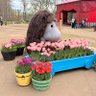 わがままピクルス 的头像