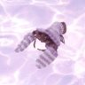 claw¹ ⁸¹ ¹² ☕️🦞 profil fotoğrafı