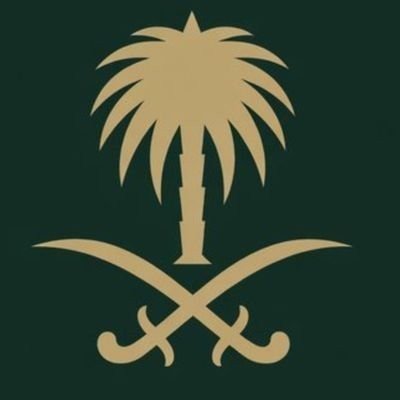 #فهد_الدوسري_نجد 🇸🇦 💚's profile picture