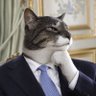 Cryptoistheshit's profile picture
