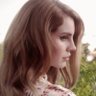 lipyosemite🌼's profile picture