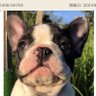 照之 的头像