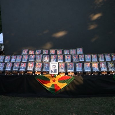 goyiamed21's profile picture