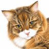 Фото профиля ねこちん