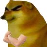 Robe's profile picture