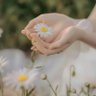 صفا(vivons la vie)🌼 的头像