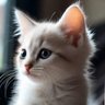 ck76 profil fotoğrafı