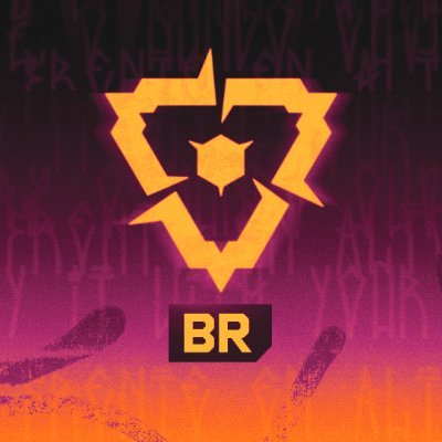 VALORANT Esports BR's profile picture