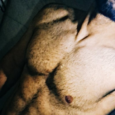 HAIRY GUY(The Ugliest)'s profile picture