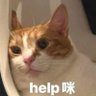 Momo 的头像