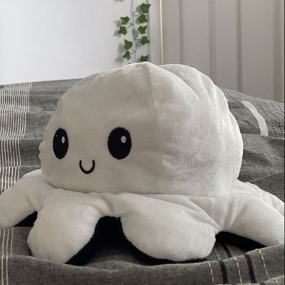 timing1337's profile picture