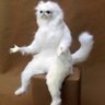 WhySoMad6768's profile picture
