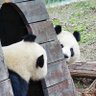 圭圭 的头像