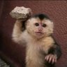 MABHUNU MATUTU's profile picture