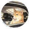 Stone Shi's profile picture