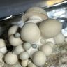 Фото профиля KD