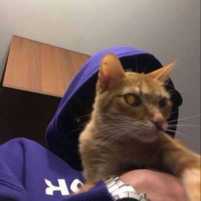 Aarde's profile picture