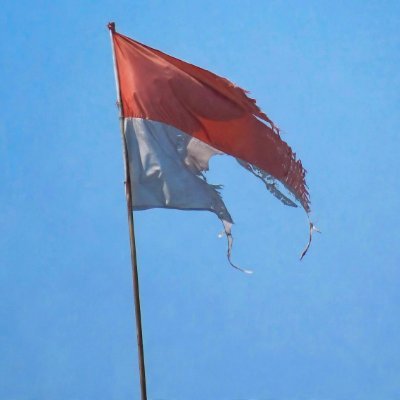 Putra_Riau11's profile picture