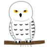 Profilbild von なつみかん