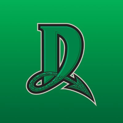 DragonsBaseball's profile picture