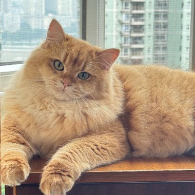Xanderwow_A's profile picture