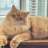 Xanderwow profil fotoğrafı