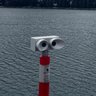Blabär profil fotoğrafı