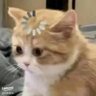Profilbild von ต้าวโอ้นนนนนน