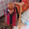 Фото профиля سالم رمضان