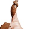 "Rusty Thumbs" if you know you know. 的头像