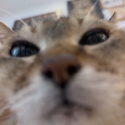 101Iight's profile picture