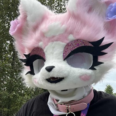 Mallow_thefox's profile picture