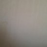 Freddy Bonett's profile picture