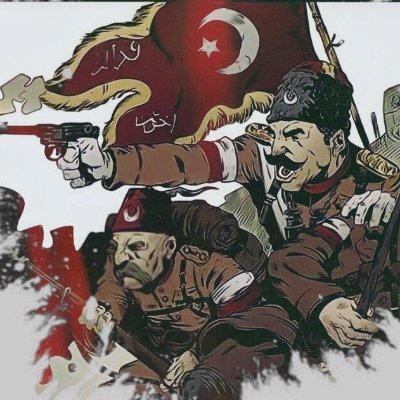 TanselBaydur's profile picture