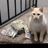 fourskii 的头像