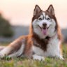 Freyja profil fotoğrafı