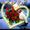mohammed alsapti's profile picture