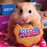 I love Wildberries ❤️'s profile picture