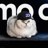 Фото профиля fomocat