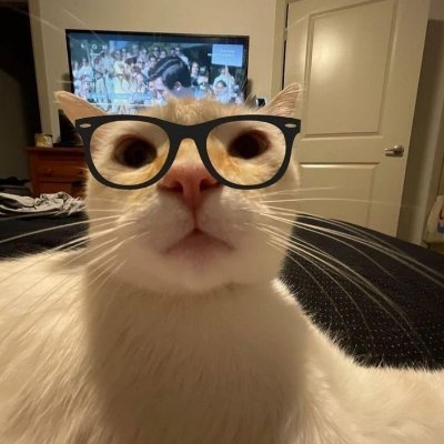 Euhenryvieira's profile picture