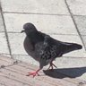 Profilbild von masu