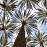 Фото профиля اي ماغيره