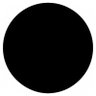 tiago's profile picture