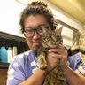 やすえ - 元CEO、現エンジニア（英語は気合）'s profile picture