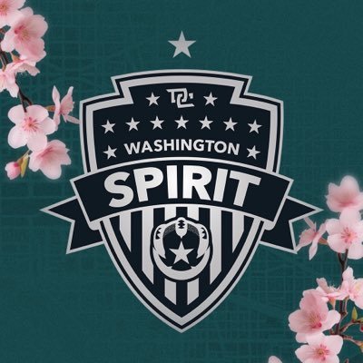 WashSpirit's profile picture