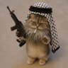 Фото профиля CaptainSlow 🐈🐈⬛